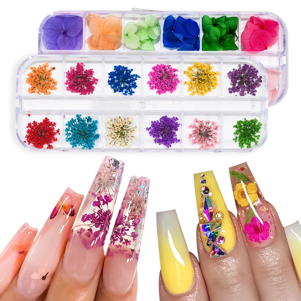 12 Colors Dried Flowers Nail Art Decoration 3D Natural Floral Colorful Dried Flower Charms Nail Decal DIY Craft Manicure Decorat 12 Colors Dried Flowers Nail Art Decoration 3D Natural Floral Colorful Dried Flower Charms Nail Decal DIY Craft Manicure Decorat