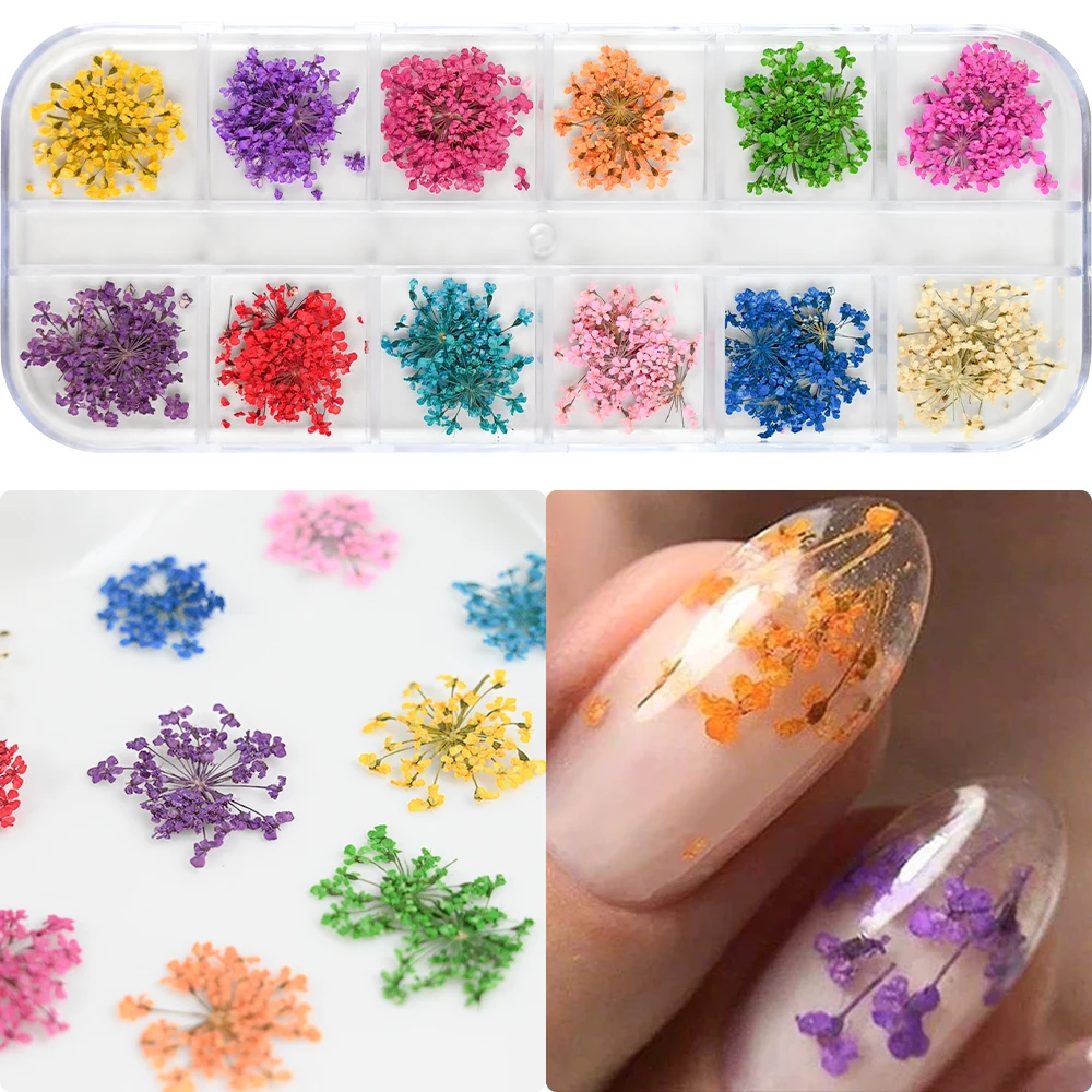 12 Colors Dried Flowers Nail Art Decoration 3D Natural Floral Colorful Dried Flower Charms Nail Decal DIY Craft Manicure Decorat 12 Colors Dried Flowers Nail Art Decoration 3D Natural Floral Colorful Dried Flower Charms Nail Decal DIY Craft Manicure Decorat