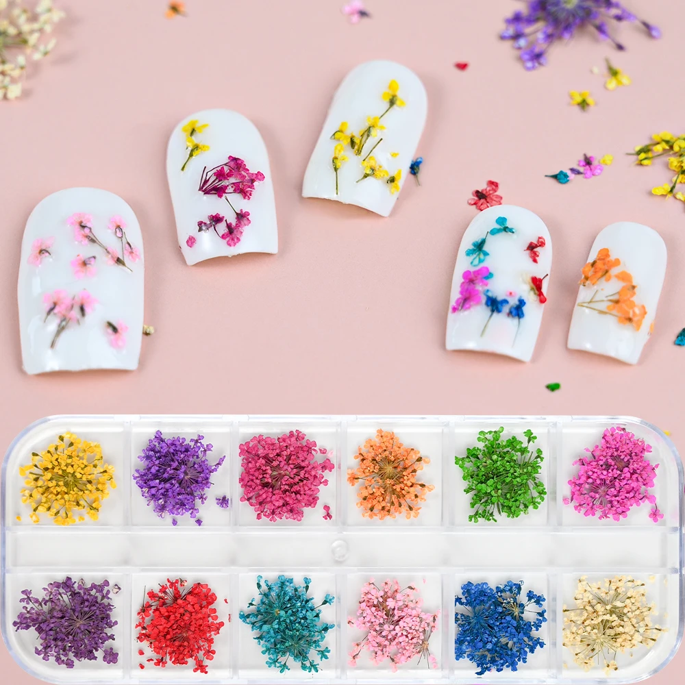 12 Colors Dried Flowers Nail Art Decoration 3D Natural Floral Colorful Dried Flower Charms Nail Decal DIY Craft Manicure Decorat 12 Colors Dried Flowers Nail Art Decoration 3D Natural Floral Colorful Dried Flower Charms Nail Decal DIY Craft Manicure Decorat