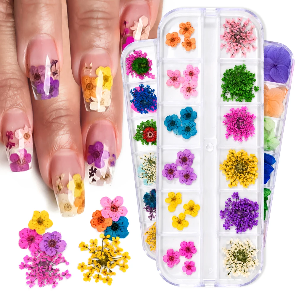 12 Colors Dried Flowers Nail Art Decoration 3D Natural Floral Colorful Dried Flower Charms Nail Decal DIY Craft Manicure Decorat 12 Colors Dried Flowers Nail Art Decoration 3D Natural Floral Colorful Dried Flower Charms Nail Decal DIY Craft Manicure Decorat