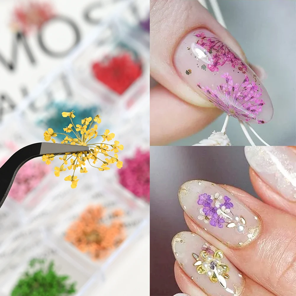 12 Colors Dried Flowers Nail Art Decoration 3D Natural Floral Colorful Dried Flower Charms Nail Decal DIY Craft Manicure Decorat 12 Colors Dried Flowers Nail Art Decoration 3D Natural Floral Colorful Dried Flower Charms Nail Decal DIY Craft Manicure Decorat